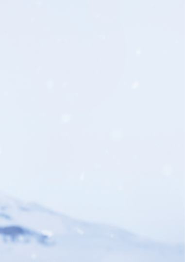 嘘国王在冬眠-1