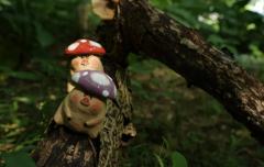 紫蘑菇-资料图