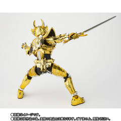 SHF 真骨雕 制法 黄金骑士牙狼-资料图