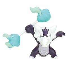 嘎啦嘎啦 Alola Form