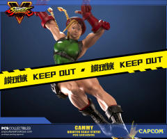 Street Fighter Ultra 嘉米·怀特 -资料图