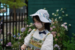 春野茶歇 衬衣-资料图