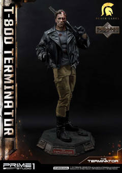 T-800 DX version-资料图