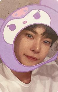 三丽鸥随机卡 貂 Ver.B