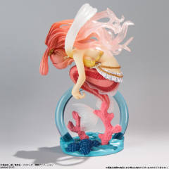 One Piece Episode of Characters Part 3 白星
