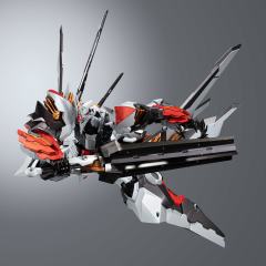 RIOBOT  EX-莱茵巴雷尔-资料图