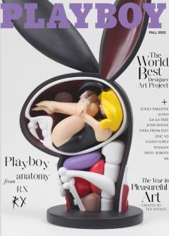 Playboy Anatomy 解剖花花公子