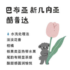 巴布亚新几内亚酷普达