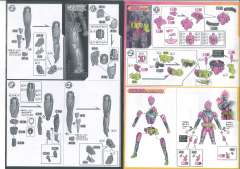 FRS 假面骑士Ex-Aid 动作玩家 等级2-资料图