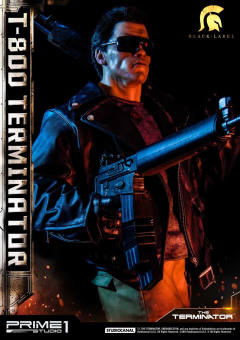 T-800 DX version-资料图