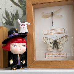 角角+金坚（女巫）-资料图