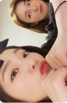 专卡姐 top note verC.