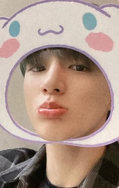 三丽鸥立牌卡 诺