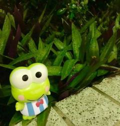 Sanrio Classics 浮叶上的Keroppi -资料图