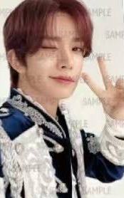 fate plus日巡衬衫卡1