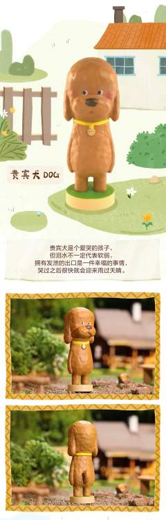 贵宾犬-资料图