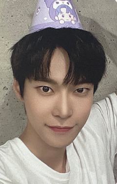 三丽鸥派对盒子卡 貂