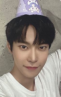 三丽鸥派对盒子卡 貂