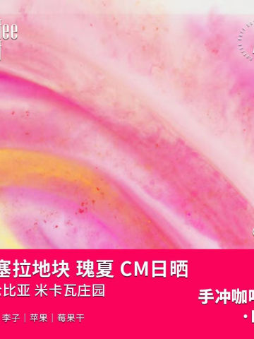 米卡瓦庄园CM手冲咖啡豆