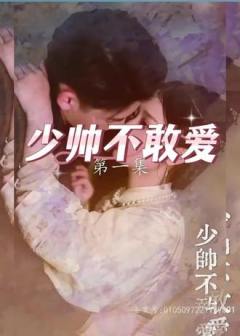 少帅不敢爱
