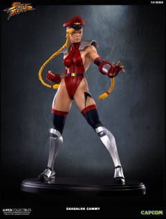 Mixed Media 嘉米·怀特 Shadaloo Cammy-资料图