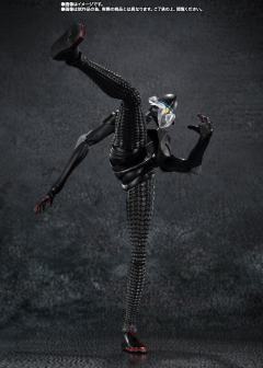 SHF  美弗拉斯-资料图