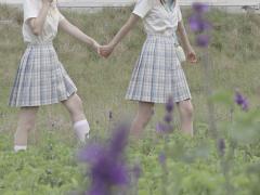 川草-资料图