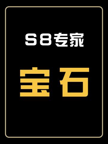 任意完美宝石(杂色)-S8专家