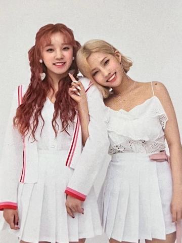 一期会员双人透卡 ver.E