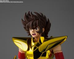 圣斗士圣衣神话EX 天马座星矢（最终青铜圣衣）~金色限定版~-资料图