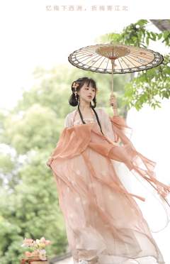 夏日百合-资料图