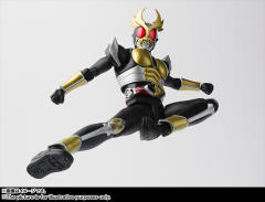 SHF 真骨雕 假面骑士Agito 大地形态-资料图