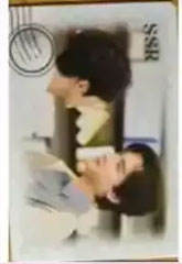 SSR【仲夏来信】