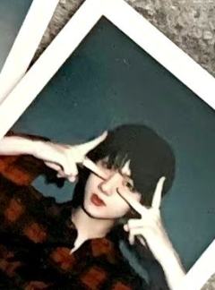 fansland ver.C 星