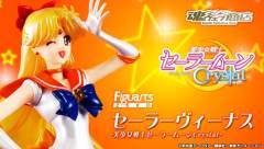 Figuarts ZERO 爱野美奈子 -资料图