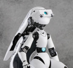 figma#125 Drossel von Flügel -资料图
