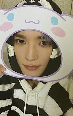 三丽鸥立牌卡 绒