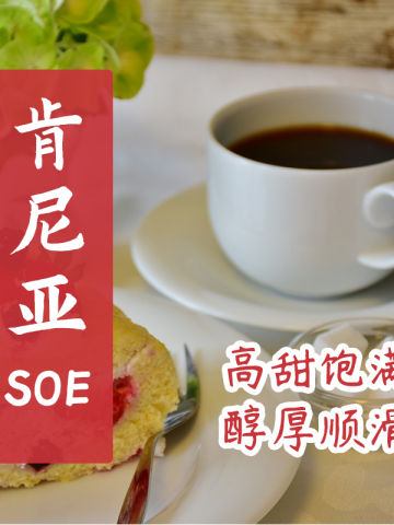 肯尼亚SOE