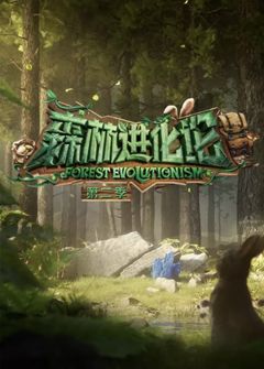 森林进化论第2季