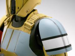 SHF 斯卡利夫风暴兵-资料图