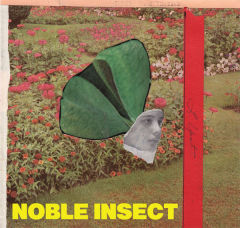Noble Insect