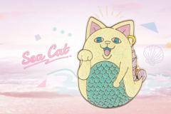 隐藏款-super rank胸针-资料图
