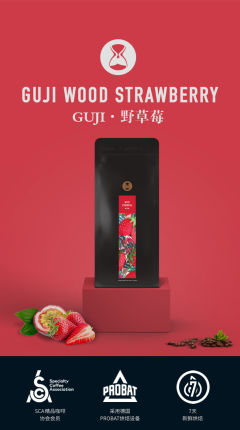 GUJI·野草莓