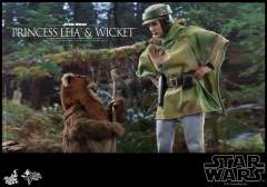 1:6比例珍藏人偶套装 莱娅公主及Wicket-资料图