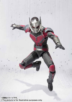 SHF 蚁人-资料图