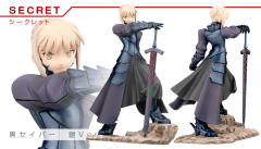 Saber Alter Secret-资料图