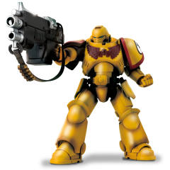 原铸星际战士 Imperial Fists-资料图