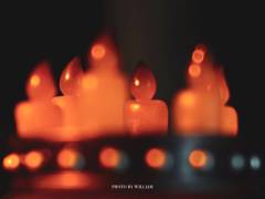 恶魔熊熊-资料图