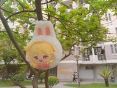 桃花小兔-资料图