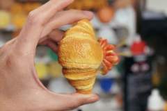 牛角包寄居蟹 -资料图